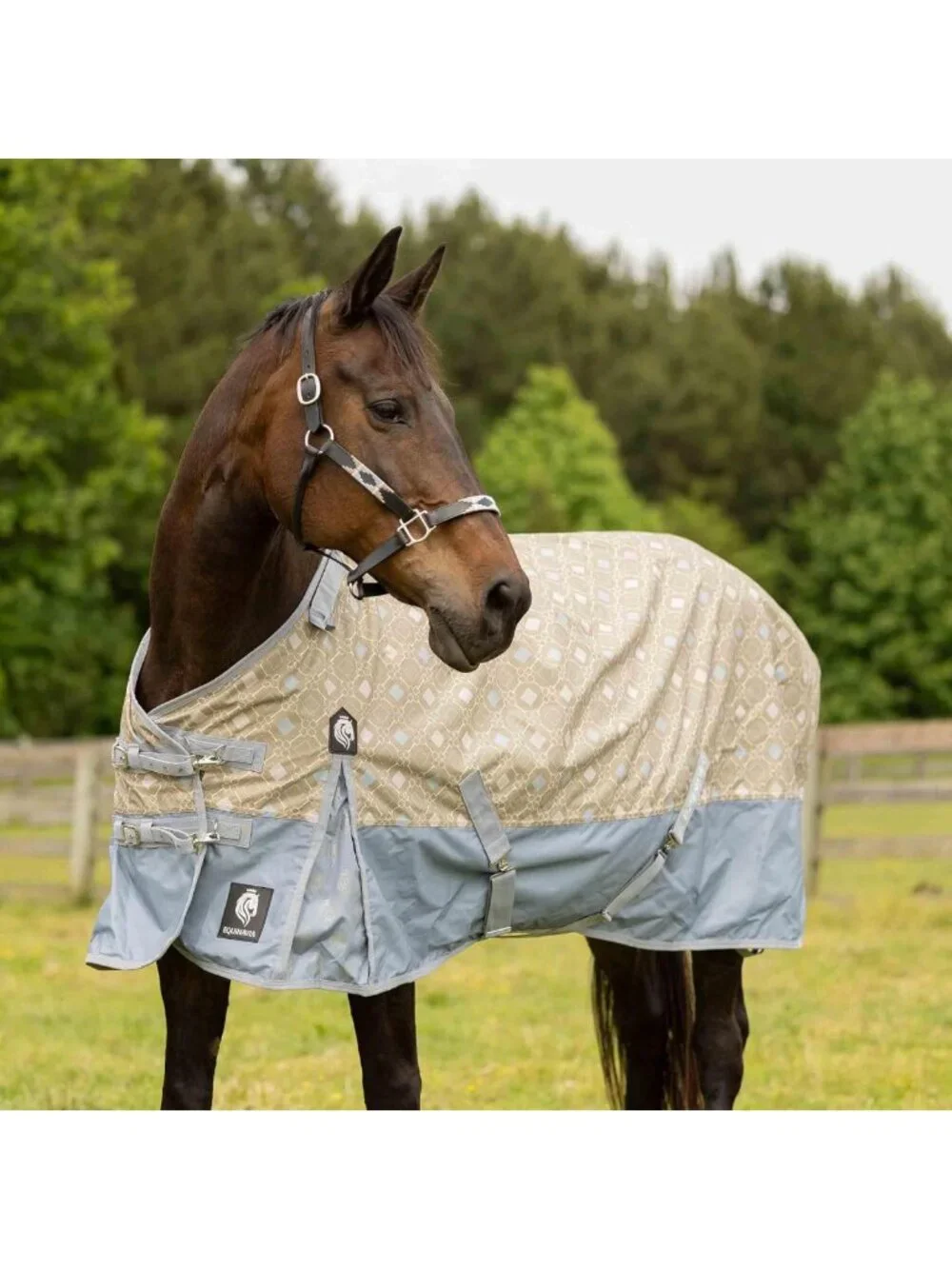 Lightweight Waterproof Turnout Blanket, 100g Rain Sheet for Horses, Durable